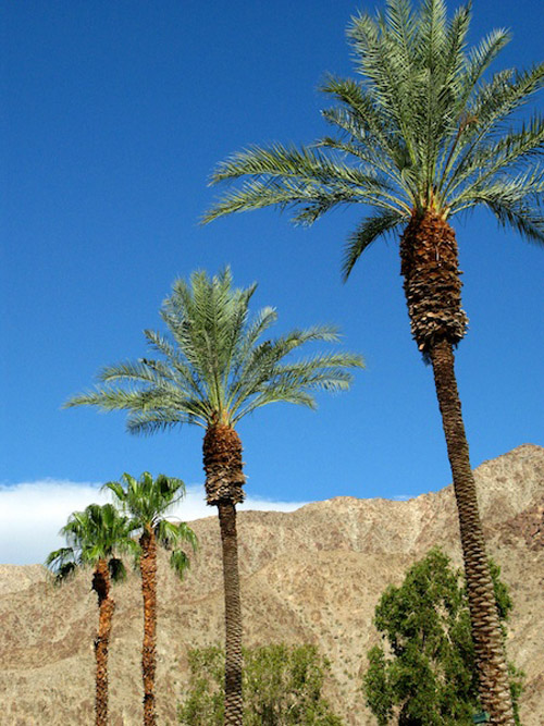 Melanie Heinrich - Travel